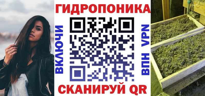 Шишки марихуана OG Kush  мориарти клад  Якутск 
