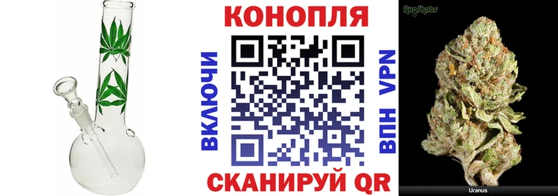 Конопля гибрид Якутск